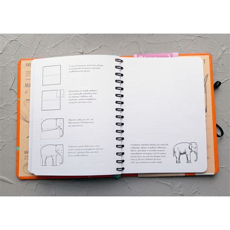 Купить Sketchbook. Малюємо за 30 секунд. Основні навички, помаранчевий ...