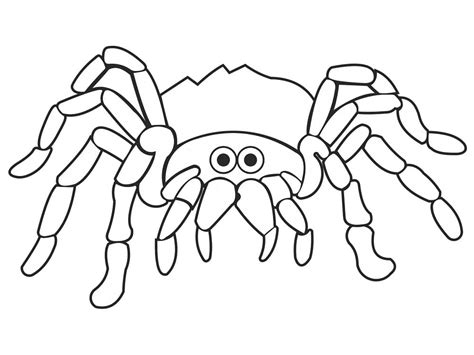Spider Printable coloring page - Download, Print or Color Online for Free