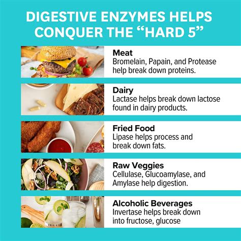 Which Is Better Digestive Enzymes Or Probiotics at Alyssa Massy-greene blog