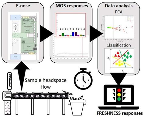 Meat and Fish Freshness Assessment by a Portable and Simplified ...