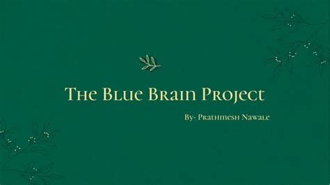 Blue Brain Project 的图像结果