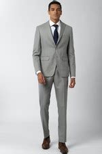 Buy Men Grey Solid Formal Two Piece Suit Online - 603062 | Peter England