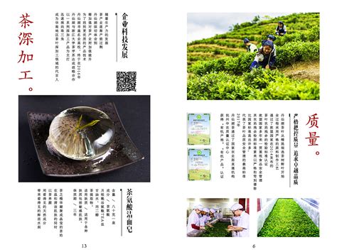 好听的茶叶名字大全集,茶的名字有哪些?