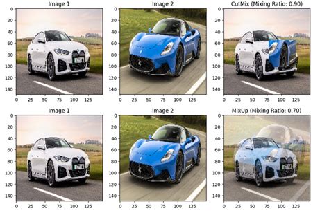 Image result for Include Data Augmentation Part in Transfer Learning of a Classification Model