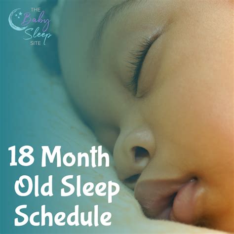 What Time for Mattress; How Many Naps - DeegitalRays