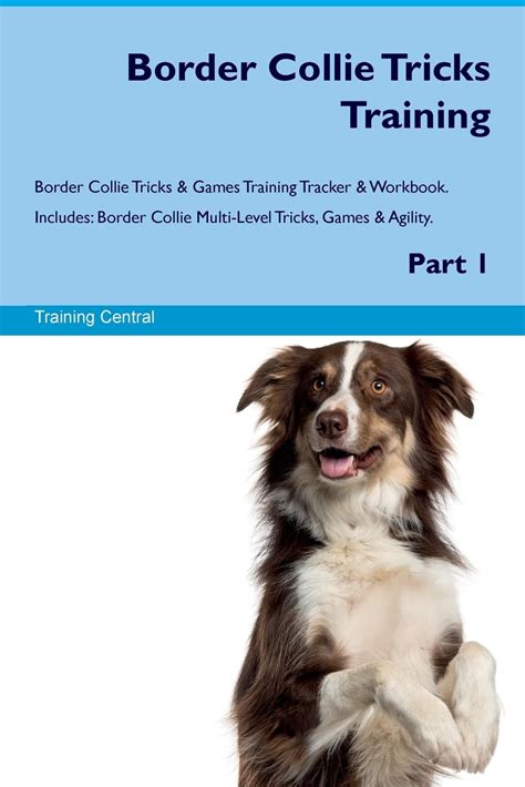 Border Collie Trick Training 的图像结果