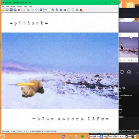 Image result for Pinback Penelope