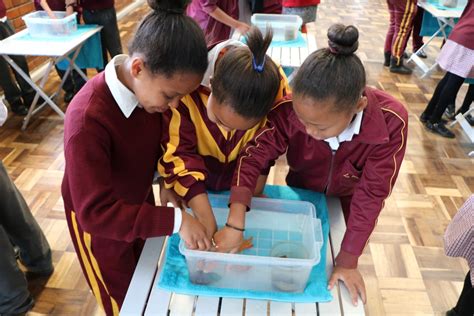 Two Oceans Aquarium Foundation | Oceans in Motion mobile aquarium…