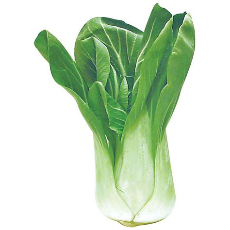 Supermarché PA / Baby Bok Choy