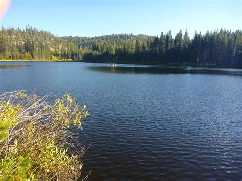 Gone Fishin | The Best Fishing In & Around Carson City, NV