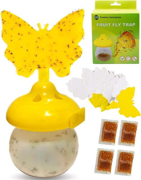 Amazon.com : Tradeinc Enterprises Indoor Fruit Fly Trap - Fungus Gnat ...