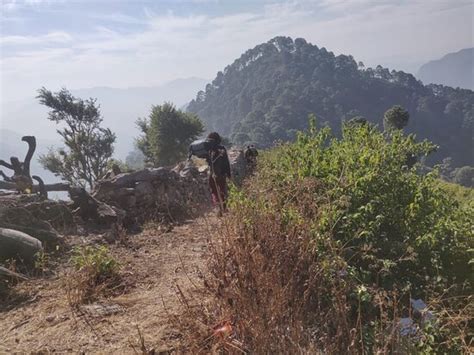 JUNGLE RETREAT (Rishikesh) - Campground Reviews & Photos - Tripadvisor