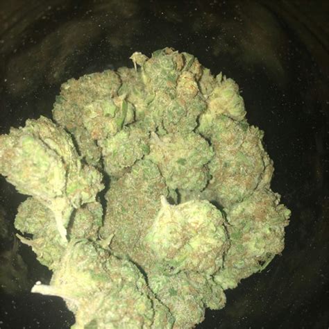 White 99 Weed Strain Information | Leafly