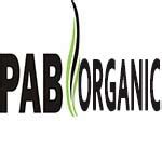 JVS ENGINEERING SERVICES