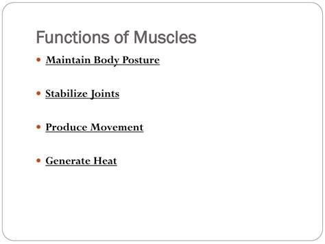 Image result for Functions of Muscles