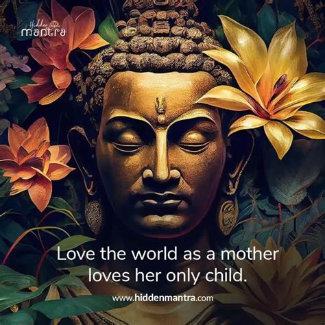 100+ BUDDHA QUOTES That Will Change Your Life – Wisdom for Peace ...