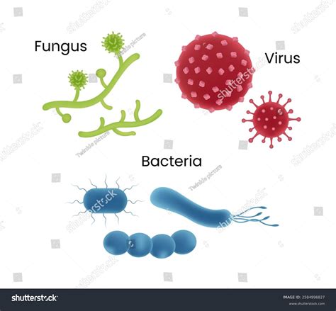 Microorganisms Fungi Viruses Bacteria Stock Vector (Royalty Free ...