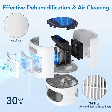 The Best Dehumidifier and Air Purifier Combo in [year] | The Ozone Hole