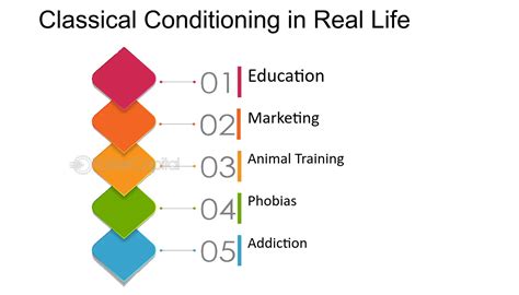 Image result for Classical Conditioning Examples in Real Life