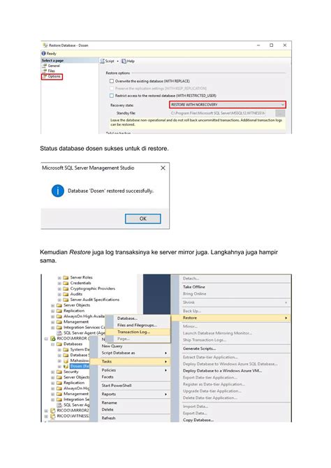What Is Mirroring in SQL Server 的图像结果