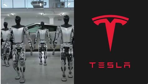 Tesla New Robot 的图像结果