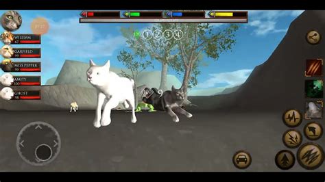 Image result for Ultimate Cat Simulator Tips