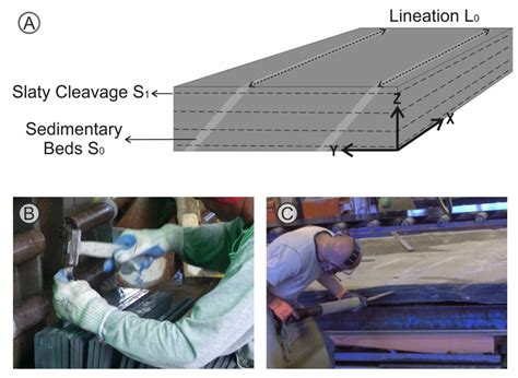 The Relationship between Surface Roughness, Capillarity and Mineral ...