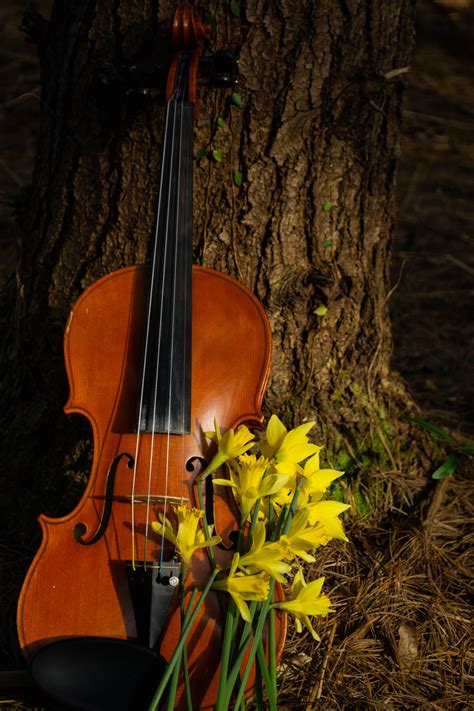 Download wallpaper 3072x4608 violin, musical instrument, flowers hd ...