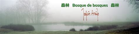 Otros Bosques de bosques