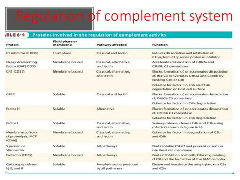 Image result for Complement System Biology