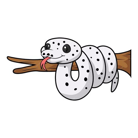 Image result for Reticulated Python Cow Print