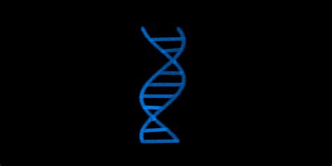 Image result for DNA Structure Animation