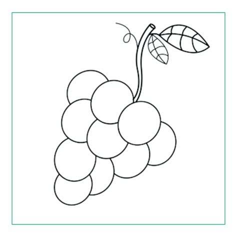 Tasty Grapes Drawing for Kids in an Easy Way in just 4 steps!