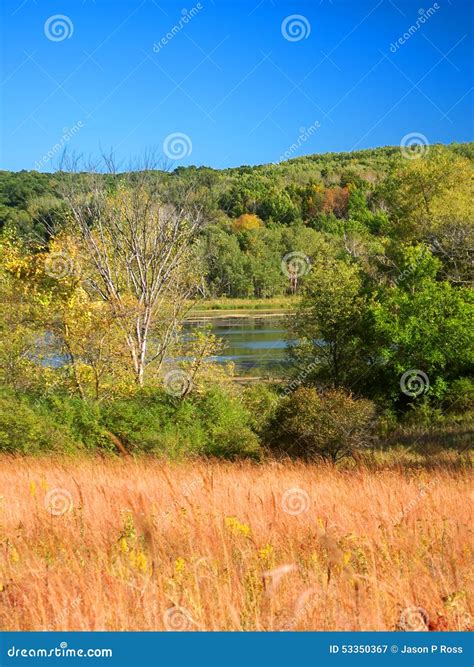 Kettle Moraine Hardwoods at Carlo Simmons blog