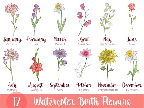 Birth Month Flowers Clipart, Antique Floral PNG Bundle, Watercolor ...