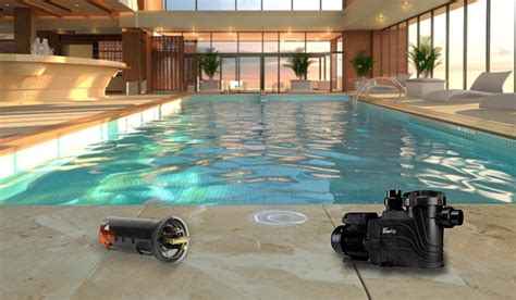 Pool Pump Maintenance Tips 的图像结果