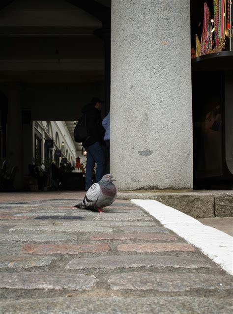 Image result for Arcade Background