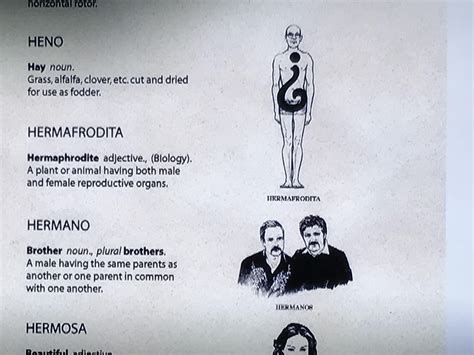 Arrested Development Meaning