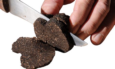 Fresh Black Truffle | Tuber Melanosporum (Slices)