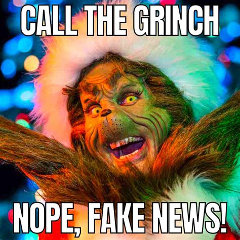 25 Hilarious Grinch Memes: For When You Feel The Holiday Grump