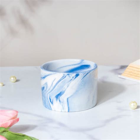 Cacti Frame Marble Ceramic Planter Blue