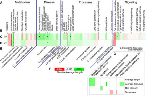 Image result for Neural Process