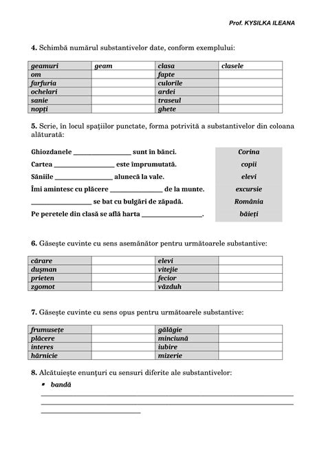 AcademiaABC – Fișă de recapitulare-Substantivul Clasa a III-a