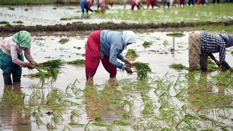 Why is Monsoon so important for Indian economy and how does it affect ...