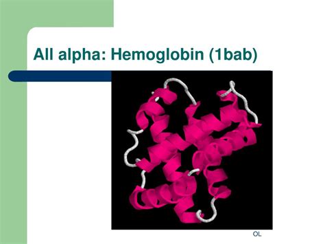Image result for Protein Classification
