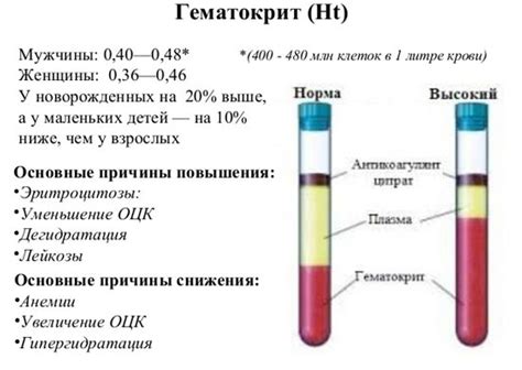 Гематокрит в анализе крови: норма, изменения