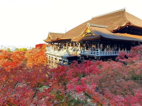 12 Places To Visit In Kyoto To Explore Ancient Art & Culture