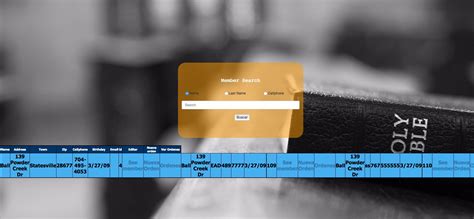 Display Data From MySQL Table in HTML 的图像结果