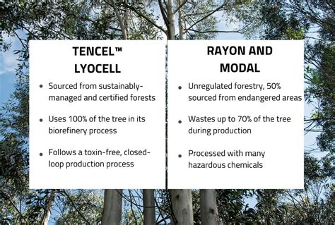 What is TENCEL™ Lyocell? Everything You Need to Know – Tripulse
