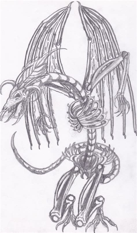 Dragon Skeleton Drawing 的图像结果